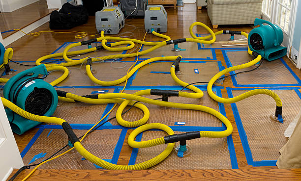 Professional Water Extraction technician working in South Elgin, IL